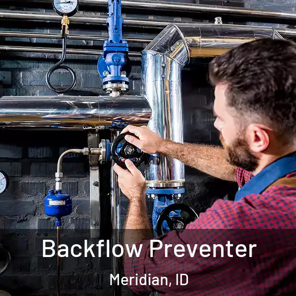  Backflow Preventer Meridian, ID