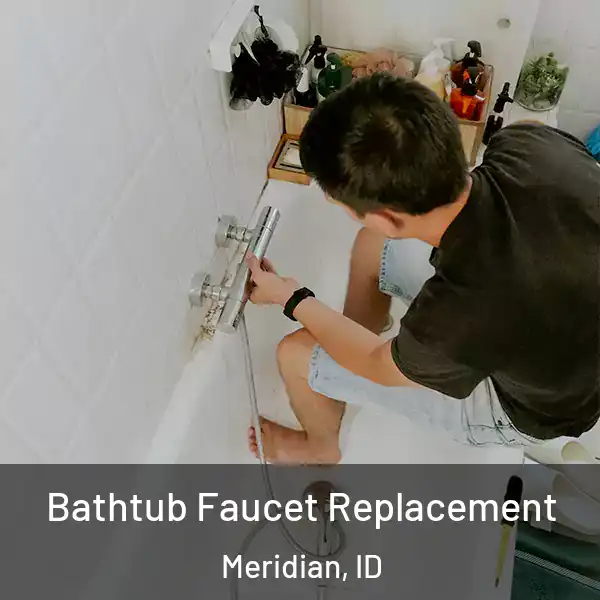  Bathtub Faucet Replacement Meridian, ID