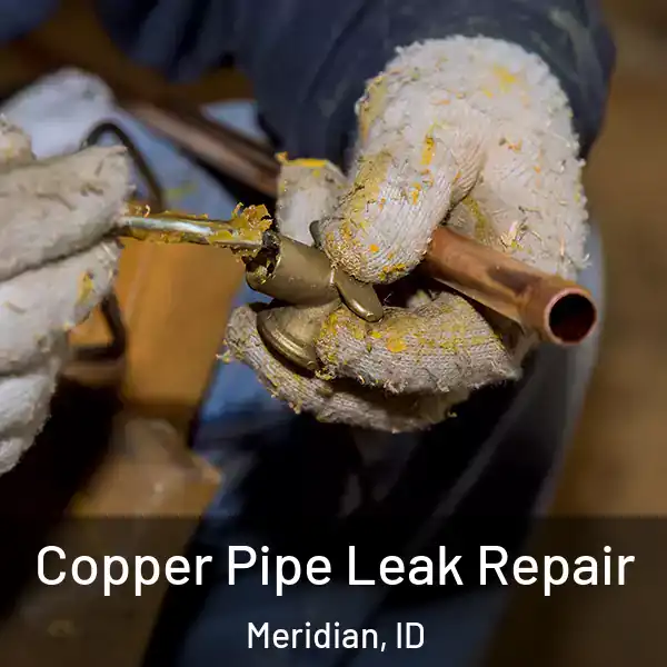  Copper Pipe Leak Repair Meridian, ID