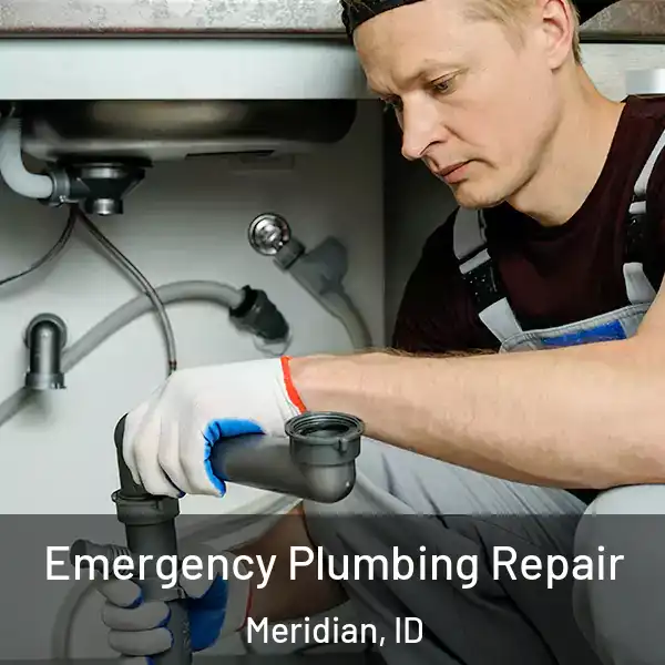  Emergency Plumbing Repair Meridian, ID
