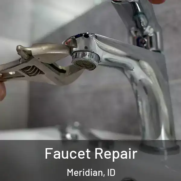  Faucet Repair Meridian, ID