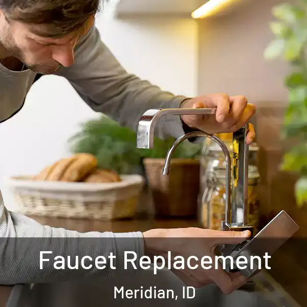 Faucet Replacement Meridian, ID