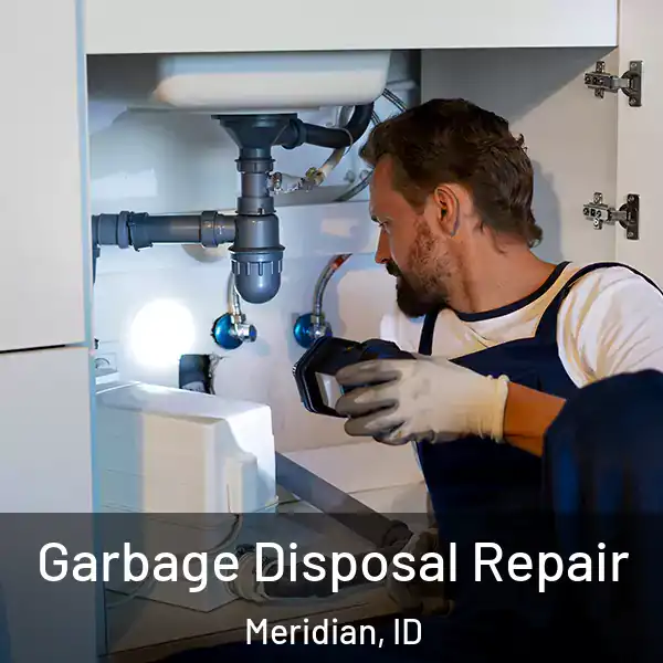  Garbage Disposal Repair Meridian, ID