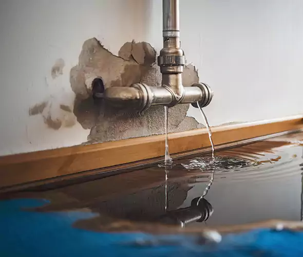 Professional Water Damage Restoration Experts in Meridian, ID — Fast, Reliable & Certified