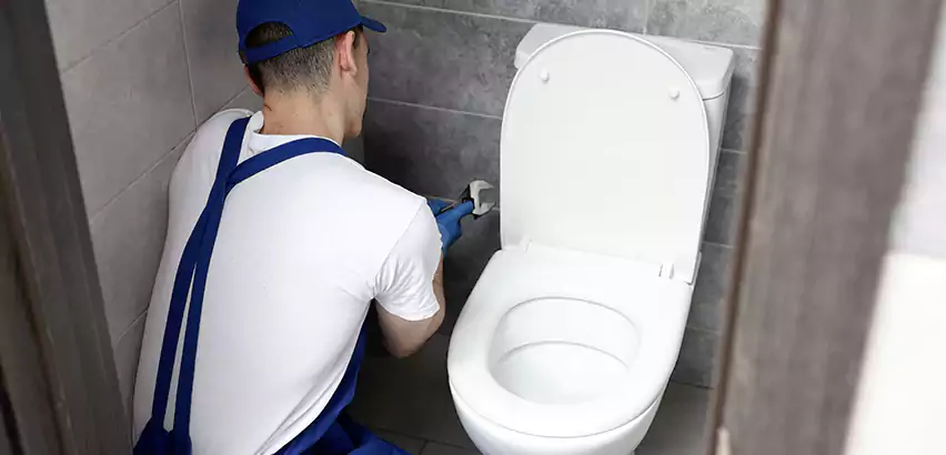 Toilet Lid Replacement in Meridian
