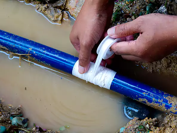  Why Choose Express Plumbing Meridian for Leak Detection in Meridian, ID?]