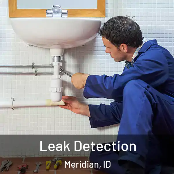  Leak Detection Meridian, ID