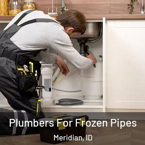  Plumbers For Frozen Pipes Meridian, ID