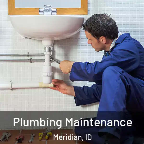  Plumbing Maintenance Meridian, ID