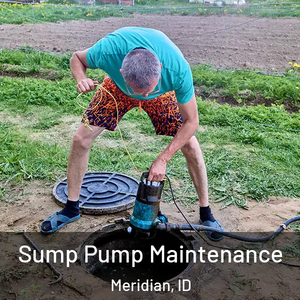  Sump Pump Maintenance Meridian, ID