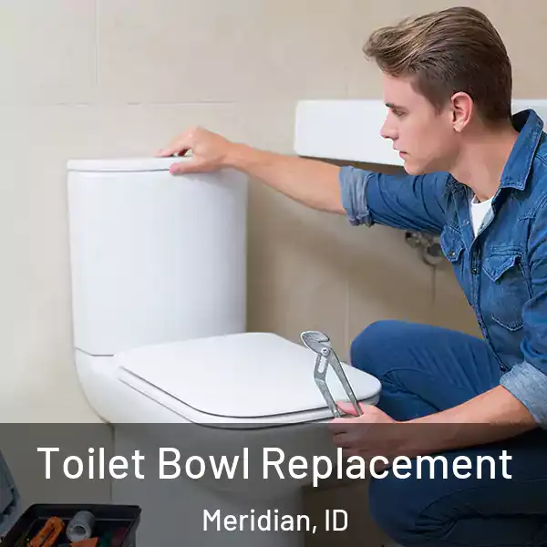  Toilet Bowl Replacement Meridian, ID