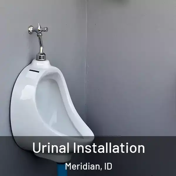  Urinal Installation Meridian, ID