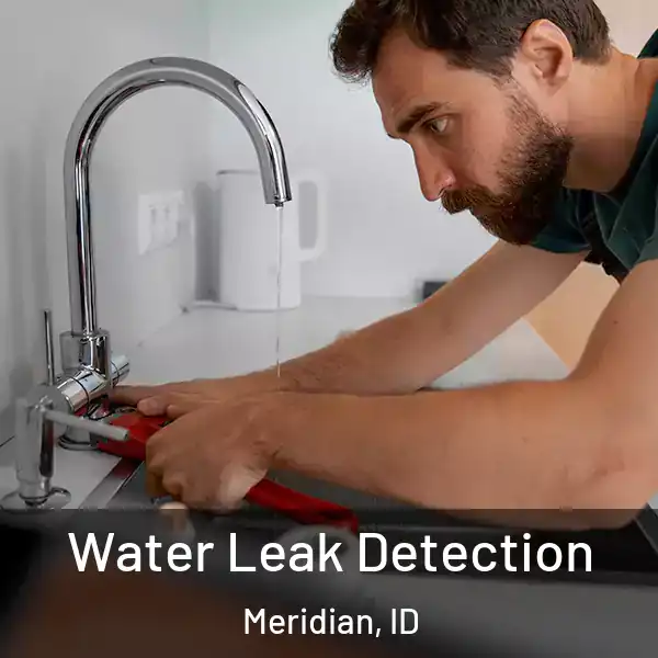  Water Leak Detection Meridian, ID