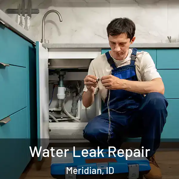 Water Leak Repair Meridian, ID